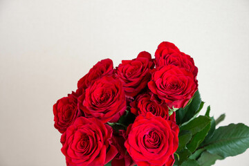 赤い薔薇