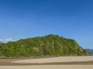 Fototapeta premium beach with palm trees