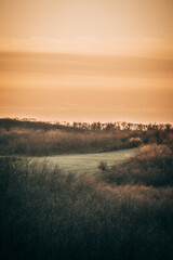 a green field surrounded by a forest with bare trees in the spring, during the golden hour, against the backdrop of an orange sky