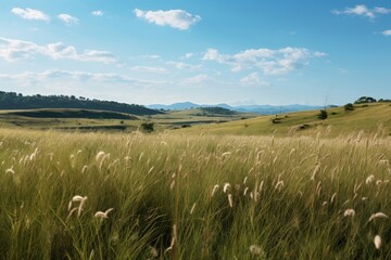 Grassland landscape outdoors horizon.