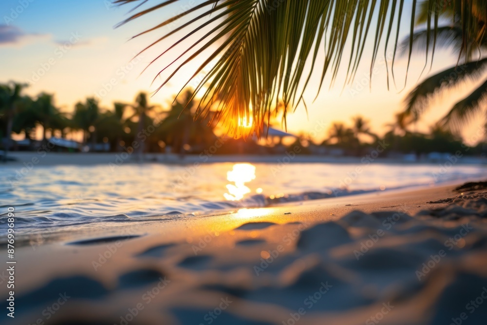 Wall mural tropical beach tree outdoors horizon.