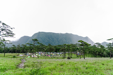 Camping tents with the mist at Phu Soi Dao national park ,Thailand