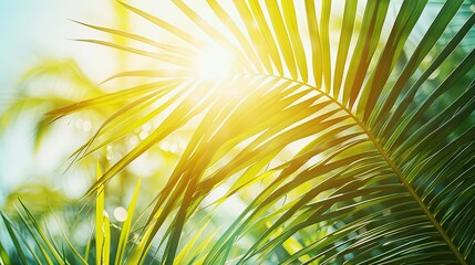 Obraz premium Summer sunlight filtering through tropical palm leaves