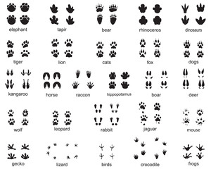 Set of wild animal footprints, illustration of black silhouettes