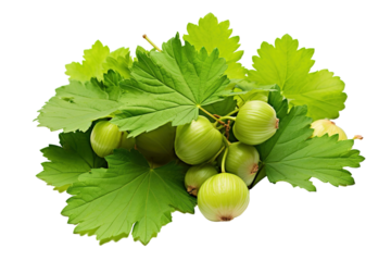 A Whirlwind of White Envelopes Dancing in the Digital Sky on a White or Clear Surface PNG Transparent Background.
