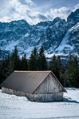 Valbruna and Val Saisera at the end of winter. Between the snow and the first flowers of the new season