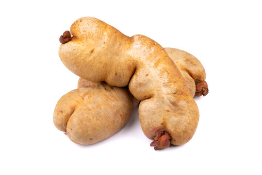 Hausmacher Zwiebelleberwurst, Zwiebel-Leberwurst auf wei&szlig;em Grund