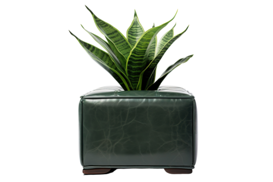 A Rainbow of Pills on a White Background on a White or Clear Surface PNG Transparent Background.