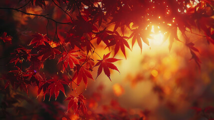 The day of the autumn equinox in Japan. symbolizing the balance of the day on the day of the autumnal equinox