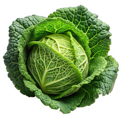Cabbage On transparent background