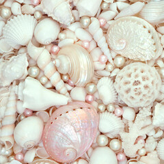 White and pink seashells and oyster pearls background with large collection of beach shells. Nature marine life composition for summer theme greeting card.