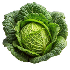 Cabbage On transparent background