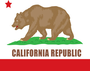 California Flag, United States Flags, Black and White Image, Vector Image, Color Book design