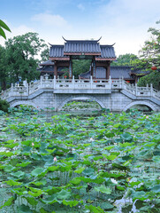 Lotus flowers and ancient Chinese architecture in summer lake