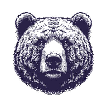 recommend clip art: bear vector, bear silhouette