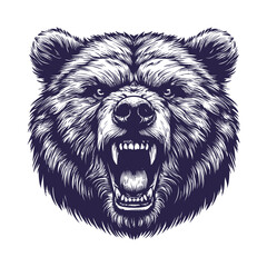 bear vector, bear silhouette