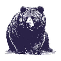 Obraz premium bear vector, bear silhouette
