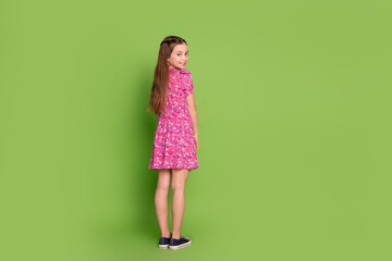 Full body rear portrait of lovely schoolgirl empty space wear pink dress isolated on green color...