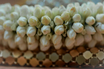 delicate natural flowers in bright colors