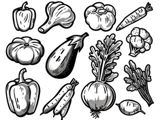 A collection of various vegetables arranged together, ideal for use in food styling or as a prop