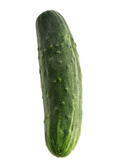 Fresh vegetable cucumber on white background