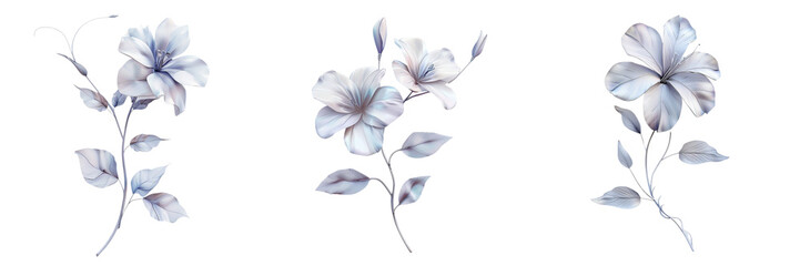 Set of An artistic drawing of a flower featuring intricate swirls and leaves isolated on transparent background