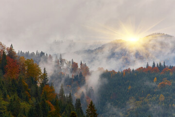 Colorful autumn morning in the Carpathian mountains. Ukraine.