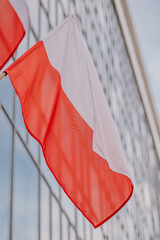 Powiewająca flaga Polski © rozentuzjazmowany