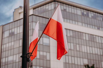 Powiewająca flaga Polski © rozentuzjazmowany