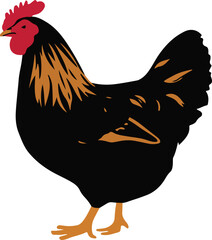 A charming hen, with glossy feathers and a cheerful cluck, embodies farmyard serenity and fresh eggs at dawn, perfect for rural idylls and organic produce enthusiasts. 