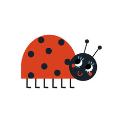 Obraz premium Une petite coccinelle