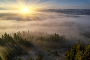 Fog spreads over the mountains at dawn. The sun rises on the horizon. Carpathians in the morning. Aerial drone view.