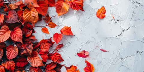 Autumn Splendor in Maple Leaves on White
