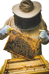 Pszczelarz w stroju ochronnym przy ulu z plastrem miodu i pszczołami. Przezroczyste tło. © YOUR SHOT