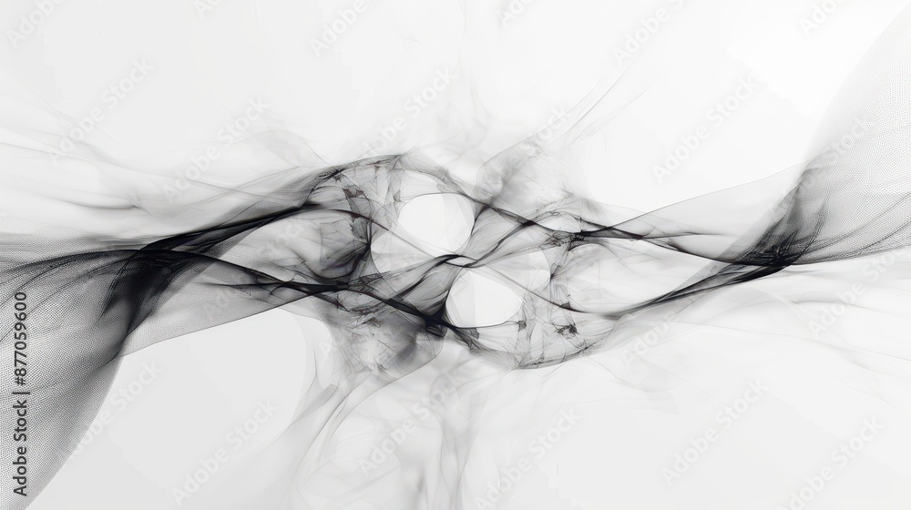 Poster abstract symmetrical black and white artwork with flowing shapes and intricate details, offering a s