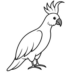 Stunning Cockatoo Full Body Vector Illustration