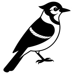 Stunning Blue Jay Vector Illustration: