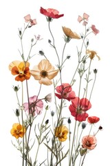 Fototapeta premium A bouquet of colorful flowers arranged in a decorative vase
