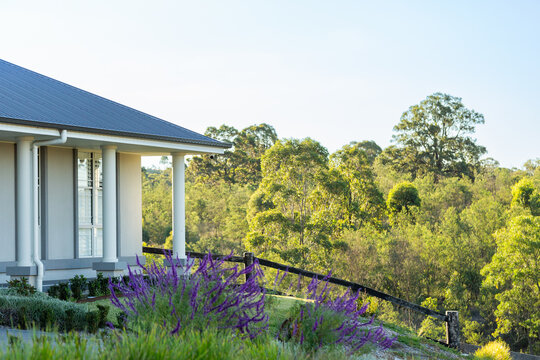 Front verandah of house beside undeveloped land filled with green gum trees