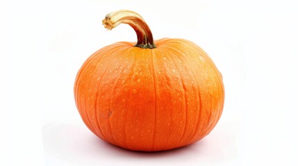 Obraz premium Pumpkin on white background ,