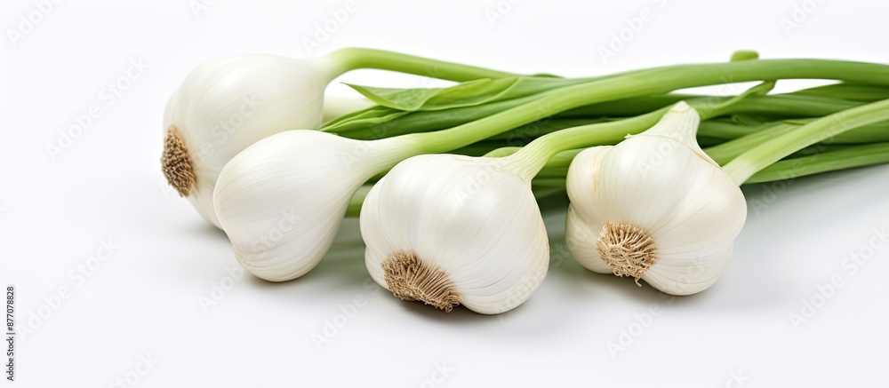 Poster Vegetables like bok choy arranged elegantly with ample white space for text or other elements in the image, useful for various designs requiring a copy space image.