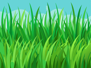 Fototapeta premium grass background