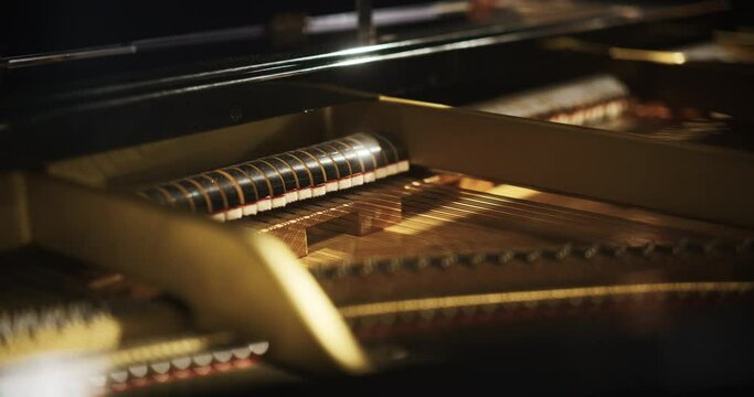 Close Up of Classic Grand Piano Parts Under the Lid. Instrument is Being Played by a Pianist. Footage Showing a Soundboard with Bass and Treble Strings and Moving Dampers