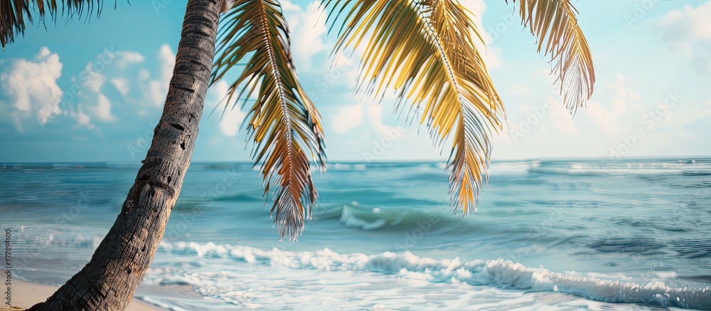 Aufkleber Close-up photo of a palm tree by the beach with a background ideal for adding text or graphics - copy space image.