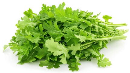 Mizuna on white background , 