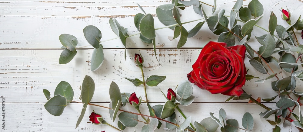 Poster top-down image of red rose and flocked eucalyptus branches on a white wooden surface, creating a fes