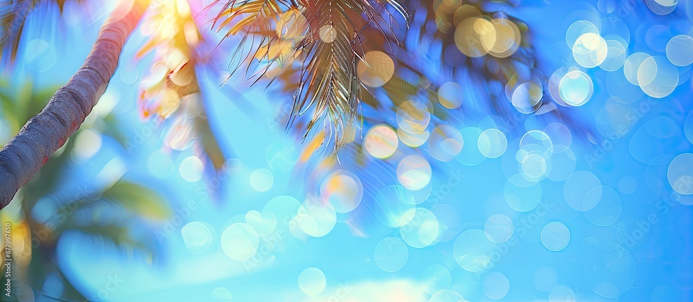 Poster Blurred coconut tree with the sunlit blue sky and bokeh effects in the background, creating a serene copy space image.