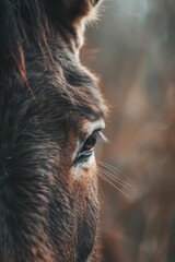  A tight shot of a horse's head against a backdrop of softly blurred grass and trees