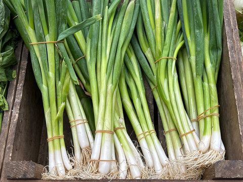 Bunches of fresh spring onions in a wooden box on a market stall