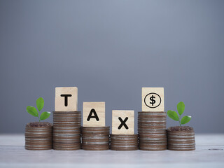 Wooden blocks with the word TAX and plants growing up on stack of coins. The concept about saving money and manage time to paying tax